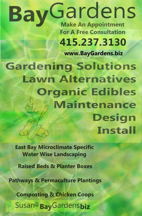 Gardening Services For East Bay Microclimates